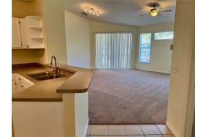 1100 LAKE SHADOW CIRCLE, MAITLAND, FL 32751 - MLS#MFRO6405519