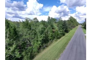 SHELDON ST, ORLANDO, FL 32833 - MLS#MFRO6405590