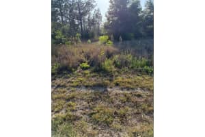 0 142 COURT, OCALA, FL 34481 - MLS#MFRO6405597