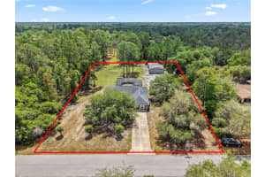 39600 GREENBRIER STREET, EUSTIS, FL 32736 - MLS#MFRO6405625