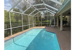 18013 FOREST RETREAT LANE, TAMPA, FL 33647 - MLS#MFRO6405650