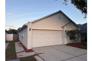 5920 Rotella Dr, WESLEY CHAPEL