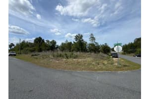 2455 159TH LANE, OCALA, FL 34473 - MLS#MFRO6405758