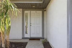 10137 PINK CARNATION COURT, ORLANDO, FL 32825 - MLS#MFRO6405783
