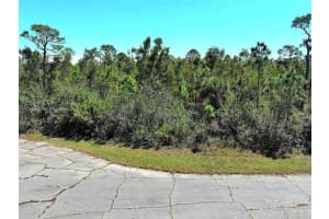 MLS# MFRO6405960, Placida, Florida 33946