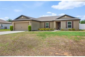 12067 CALLICARPA LANE, LEESBURG, FL 34788 - MLS#MFRO6405967