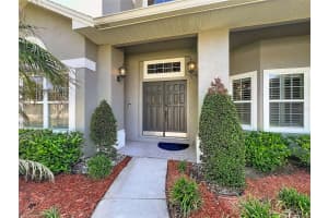 4348 STEED TERRACE, WINTER PARK, FL 32792 - MLS#MFRO6406018