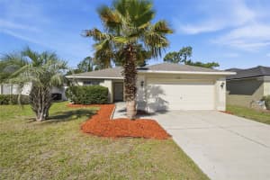 11727 BRENFORD CREST DRIVE, RIVERVIEW, FL 33579 - MLS#MFRO6406129