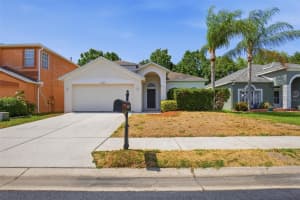 10653 FIREBRICK COURT, TRINITY, FL 34655 - MLS#MFRO6406161