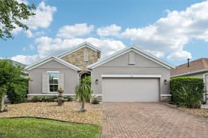 508 NARROW VIEW LANE, GROVELAND, FL 34736 - MLS#MFRO6406226