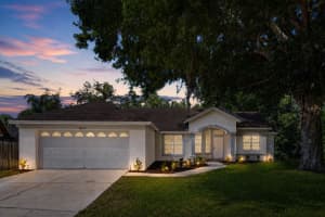 4111 CONCORD WAY, PLANT CITY, FL 33566 - MLS#MFRO6406228