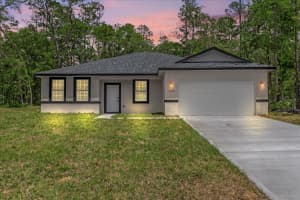 1377 ALEXANDER DRIVE, CITRUS SPRINGS, FL 34434 - MLS#MFRO6406246