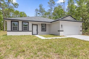 1377 ALEXANDER DRIVE, CITRUS SPRINGS, FL 34434 - MLS#MFRO6406246