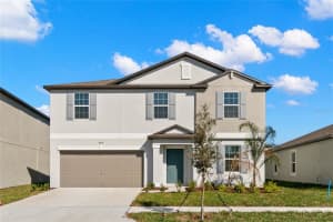 8918 PARSONS HILL BOULEVARD, WESLEY CHAPEL, FL 33545 - MLS#MFRO6406311