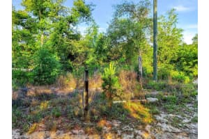 JEWELL DR, DELAND, FL 32720 - MLS#MFRO6406316