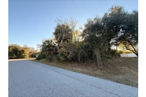 1100 BELMAR AVENUE, PORT CHARLOTTE, FL 33948 - MLS#MFRO6406461