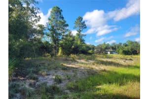 SCENIC RD, NORTH PORT, FL 34288 - MLS#MFRO6406518