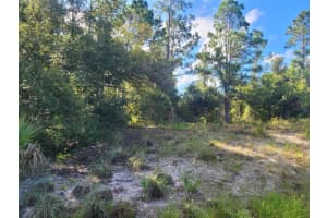 SCENIC RD, NORTH PORT, FL 34288 - MLS#MFRO6406518