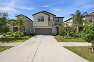7329 Canterbury Bells Ct, TAMPA 7329 Canterbury Bells Ct, TAMPA