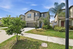7329 CANTERBURY BELLS COURT, TAMPA, FL 33619 - MLS#MFRO6406572