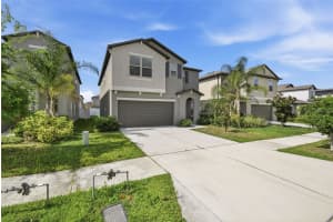 7329 CANTERBURY BELLS COURT, TAMPA, FL 33619 - MLS#MFRO6406572