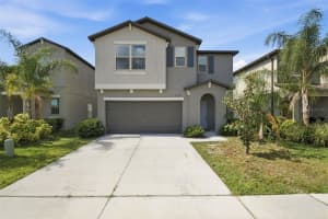 7329 CANTERBURY BELLS COURT, TAMPA, FL 33619 - MLS#MFRO6406572