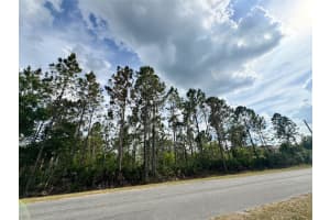 00 SODBURY STREET, ORLANDO, FL 32833 - MLS#MFRO6406598
