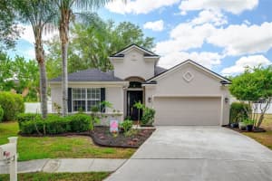 15406 Pepper Pine Ct, LAND O LAKES