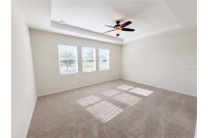 1811 HENLEY STREET, MAGNOLIA SQUARE, FL 34771 - MLS#MFRO6406715