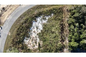 15800 37TH CIRCLE, OCALA, FL 34473 - MLS#MFRO6406824