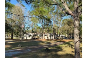 6208 BUCK FEVER ROAD, POLK CITY, FL 33868 - MLS#MFRO6407006