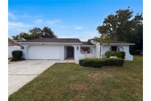 3413 Snowy Egret Ct, PALM HARBOR 3413 Snowy Egret Ct, PALM HARBOR
