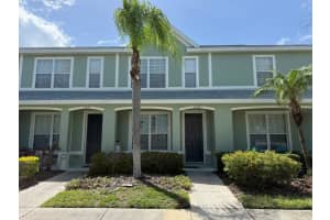 11537 DECLARATION DRIVE, TAMPA, FL 33635 - MLS#MFRO6407178