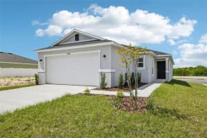 20404 Lavender Bloom Loop, MOUNT DORA