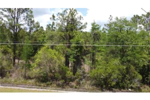 STARRY ST, ORLANDO, FL 32833 - MLS#MFRO6407360