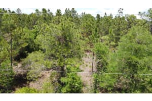 STARRY ST, ORLANDO, FL 32833 - MLS#MFRO6407360