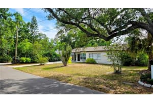 10206 N Oakleaf Ave, TAMPA