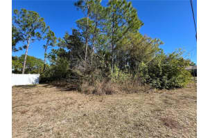 TAPLIN AVE, NORTH PORT, FL 34291 - MLS#MFRO6407547