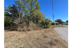 TAPLIN AVE, NORTH PORT, FL 34291 - MLS#MFRO6407547