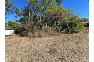 TAPLIN AVE, NORTH PORT, FL 34291 - MLS#MFRO6407547
