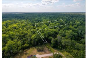 CHOCTAW TRL, KISSIMMEE, FL 34747 - MLS#MFRO6407653