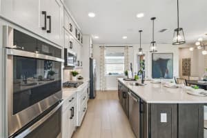 17106 Beachgrass Aly, WINTER GARDEN