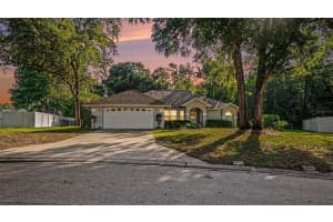 6607 11TH LOOP, OCALA, FL 34472 - MLS#MFRO6407849