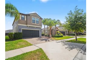 10025 IVORY DRIVE, SUN CITY CENTER, FL 33573 - MLS#MFRO6408001