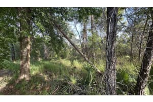 0 OLIVE CIRCLE, OCALA, FL 34472 - MLS#MFRO6408041