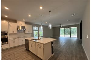 3929 REED GRASS PLACE, KISSIMMEE, FL 34746 - MLS#MFRO6408104