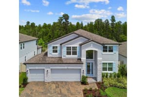 7754 Hemlock Seed Dr, WESLEY CHAPEL 7754 Hemlock Seed Dr, WESLEY CHAPEL