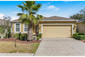 345 RED KITE DR, GROVELAND, FL 34736 - MLS#MFRO6408274