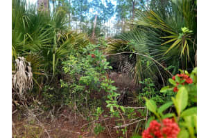 141 NAPLES AVENUE, LEHIGH ACRES, FL 33974 - MLS#MFRO6408367