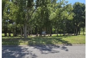 4007 COHEN DRIVE, ZELLWOOD, FL 32798 - MLS#MFRO6408381